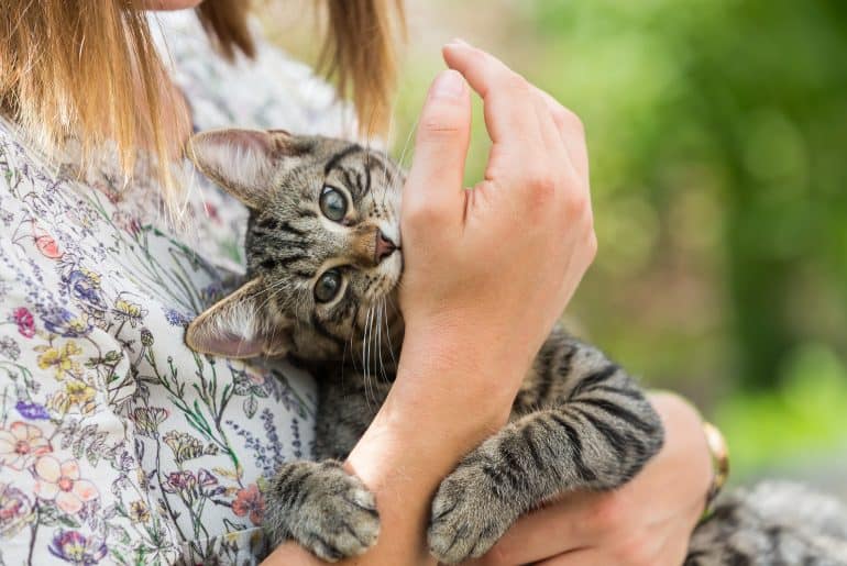 picture of a woman who holds a kitten in the arms